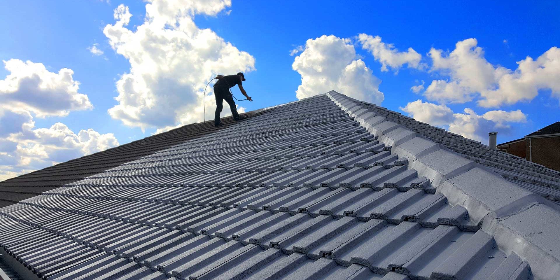 Roof Inspection